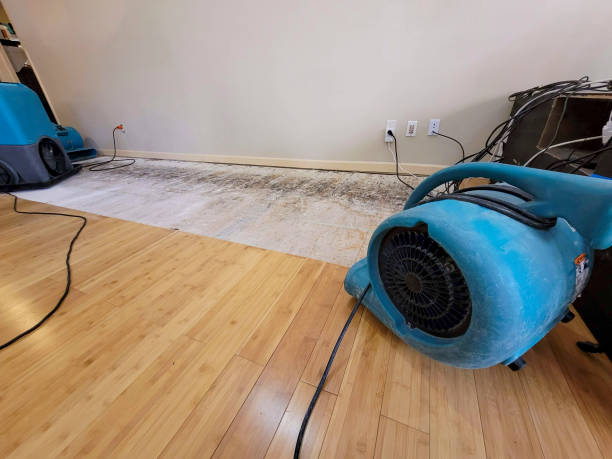 Professional Emergency Water Damage technician working in Danville, AL